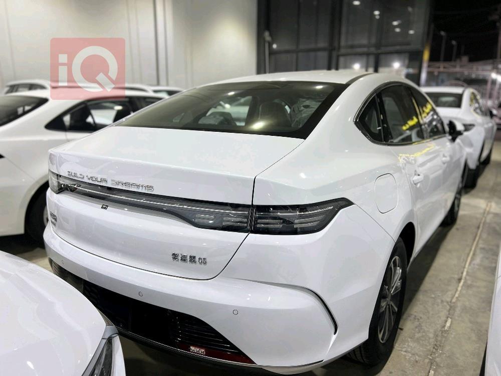 بي واي دي ديستروير 05